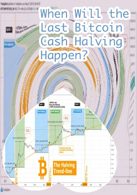 Bitcoin halving chart