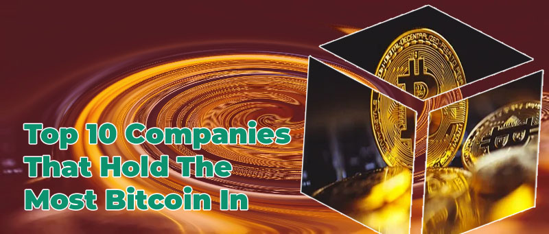 Who holds the most bitcoin